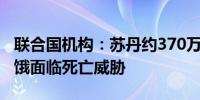 联合国机构：苏丹约370万五岁以下儿童因饥饿面临死亡威胁