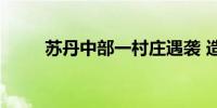 苏丹中部一村庄遇袭 造成6人死亡