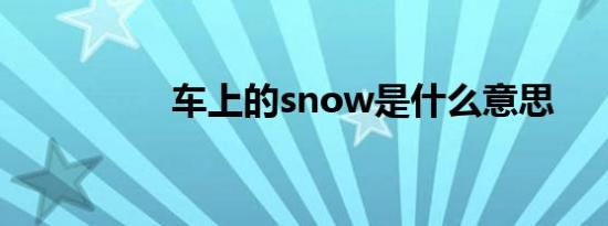 车上的snow是什么意思