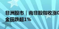 非洲股市｜南非股指收涨0.6%哈莫尼黄金和金田跌超1%