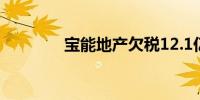 宝能地产欠税12.1亿被公告