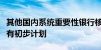 其他国内系统重要性银行核心一级资本补充已有初步计划