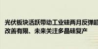 光伏板块活跃带动工业硅两月反弹超30% 分析人士：基本面改善有限、未来关注多晶硅复产