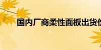 国内厂商柔性面板出货份额超过韩国