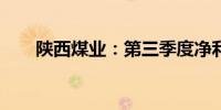 陕西煤业：第三季度净利润53.9亿元