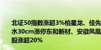 北证50指数涨超3%柏星龙、佳先股份、恒合股份、润农节水30cm涨停东和新材、安徽凤凰、浩淼科技、艾能聚等多股涨超20%