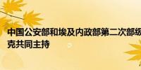 中国公安部和埃及内政部第二次部级会晤举行 王小洪和陶菲克共同主持 