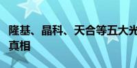 隆基、晶科、天合等五大光伏组件厂涨价传闻真相