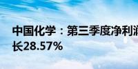 中国化学：第三季度净利润9.99亿元 同比增长28.57%