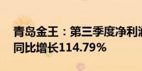 青岛金王：第三季度净利润为2423.89万元 同比增长114.79%