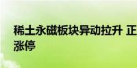 稀土永磁板块异动拉升 正海磁材午后20CM涨停