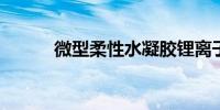 微型柔性水凝胶锂离子电池面世