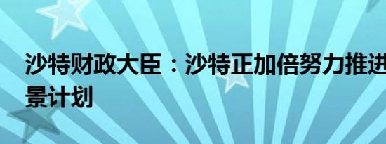 沙特财政大臣：沙特正加倍努力推进2030愿景计划