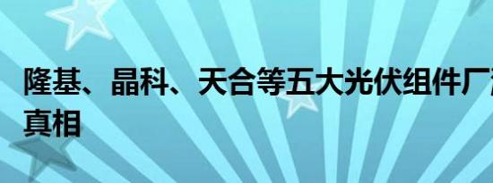 隆基、晶科、天合等五大光伏组件厂涨价传闻真相