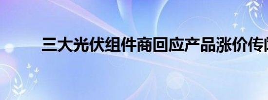 三大光伏组件商回应产品涨价传闻