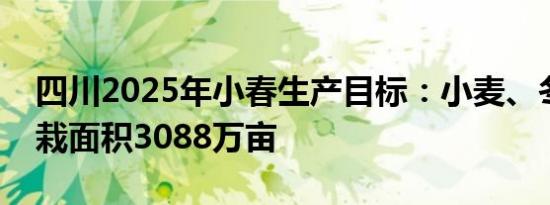 四川2025年小春生产目标：小麦、冬油菜播栽面积3088万亩