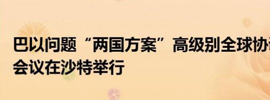 巴以问题“两国方案”高级别全球协调会首轮会议在沙特举行