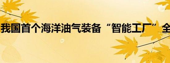 我国首个海洋油气装备“智能工厂”全面建成