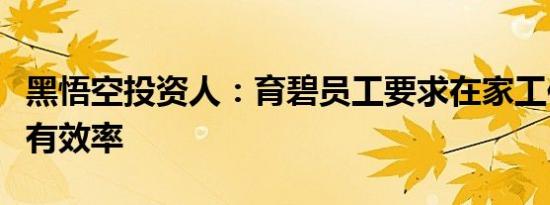 黑悟空投资人：育碧员工要求在家工作这不太有效率