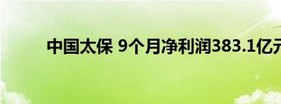 中国太保 9个月净利润383.1亿元