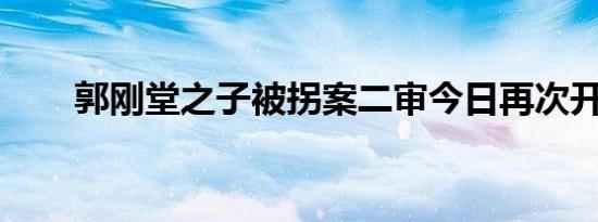 郭刚堂之子被拐案二审今日再次开庭