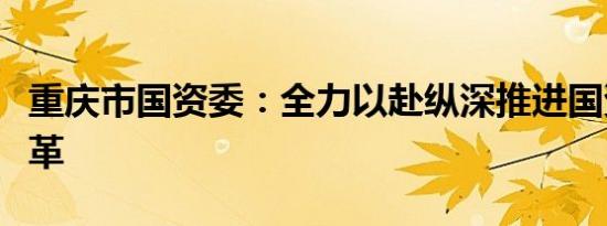 重庆市国资委：全力以赴纵深推进国资国企改革