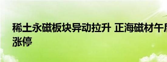 稀土永磁板块异动拉升 正海磁材午后20CM涨停