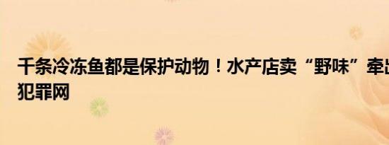 千条冷冻鱼都是保护动物！水产店卖“野味”牵出非法捕捞犯罪网