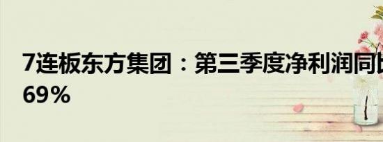 7连板东方集团：第三季度净利润同比下降2.69%