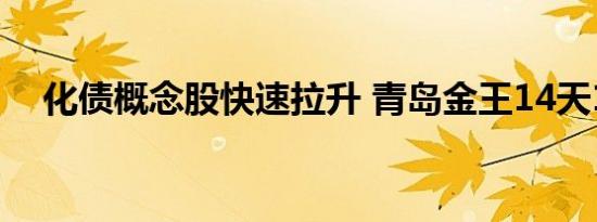 化债概念股快速拉升 青岛金王14天11板