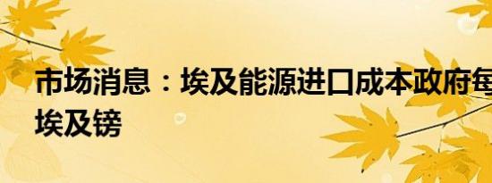 市场消息：埃及能源进口成本政府每月10亿埃及镑