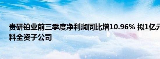 贵研铂业前三季度净利润同比增10.96% 拟1亿元增资新材料全资子公司