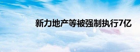 新力地产等被强制执行7亿