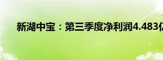 新湖中宝：第三季度净利润4.483亿元