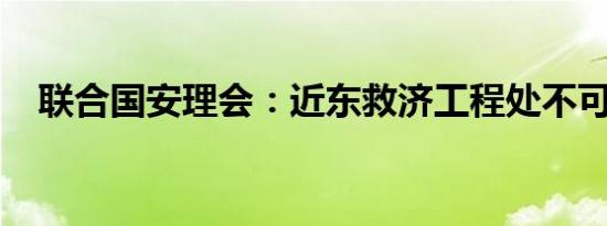 联合国安理会：近东救济工程处不可替代