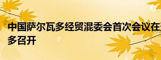 中国萨尔瓦多经贸混委会首次会议在圣萨尔瓦多召开