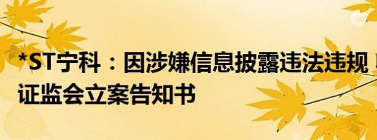 *ST宁科：因涉嫌信息披露违法违规 收到中国证监会立案告知书