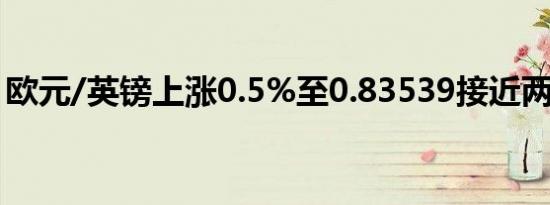 欧元/英镑上涨0.5%至0.83539接近两周高点