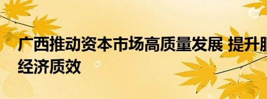 广西推动资本市场高质量发展 提升服务实体经济质效