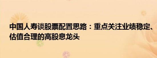 中国人寿谈股票配置思路：重点关注业绩稳定、治理稳健、估值合理的高股息龙头