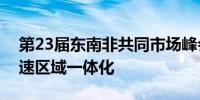 第23届东南非共同市场峰会举行重点讨论加速区域一体化