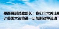 墨西哥副财政部长：我们非常关注墨西哥货币的高波动性预计美国大选将进一步加剧这种波动