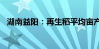 湖南益阳：再生稻平均亩产突破1265公斤