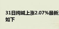 31日纯碱上涨2.07%最新主力合约持仓变化如下