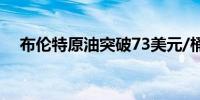 布伦特原油突破73美元/桶日内涨0.52%