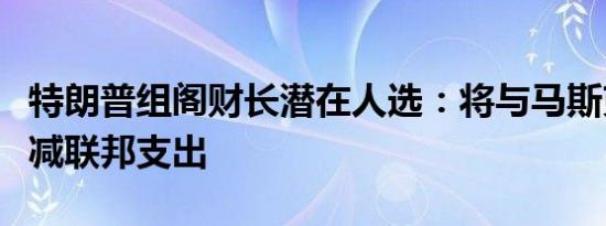 特朗普组阁财长潜在人选：将与马斯克合作削减联邦支出