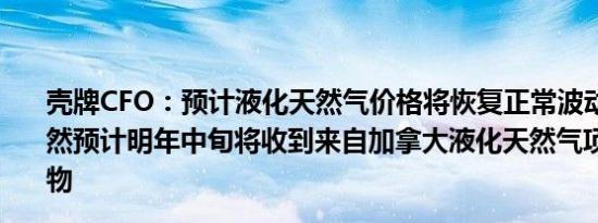 壳牌CFO：预计液化天然气价格将恢复正常波动性将降低仍然预计明年中旬将收到来自加拿大液化天然气项目的首批货物