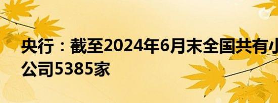 央行：截至2024年6月末全国共有小额贷款公司5385家