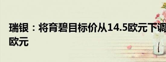 瑞银：将育碧目标价从14.5欧元下调至13.75欧元