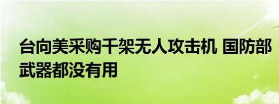 台向美采购千架无人攻击机 国防部：买什么武器都没有用